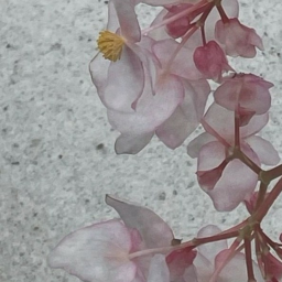 ❀