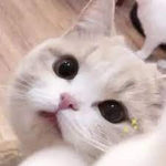 送robux 富婆～
