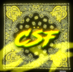 CSF #SW2