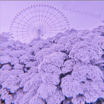 《lilac×tree》