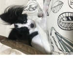 버터 그룹