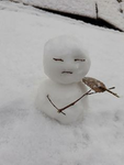 별빛부대 공식