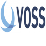 V_ss