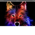 Cool_people fan group