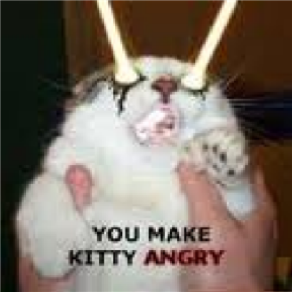 funny cat!! Roblox decal