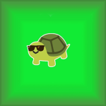 Turtle's Clothing Design Group