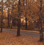 Kirua's Clothing