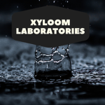 Xyloom Laboratories