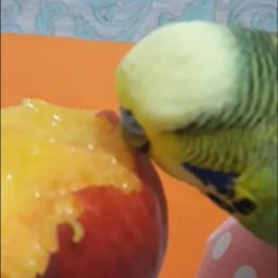 १