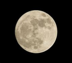 The Lunar Lounge!