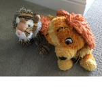 The Kitten And Puppy Group