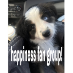 Welcome to happiness Group Thumbnail