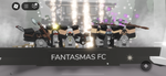 FANS DE MISTER