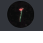 Internal Fan Club Group Thumbnail