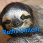 Sloths United!