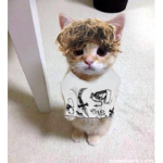 ToastyBlox