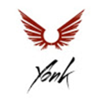 HY F yo nk channel group!
