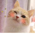 Felyne