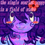 the single scarlet poppy in a field of stars