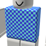 R6 - Torso