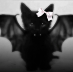 *Vampires store*