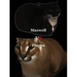 MaxWellandfloppa