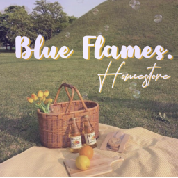 Blue Flames.'s Homestore