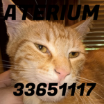 [OG] Aterium