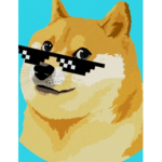 MLG cool doge