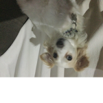 hola toma awa xd