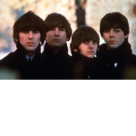 Beatlemaina(Fan Group)