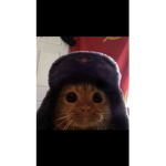 Sovietsssss group