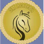 <>SM Academy<>