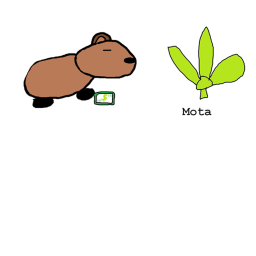 capybara chop