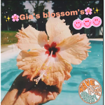 Gia’s blossom’s