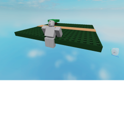 20 x 20 fighter