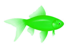 THE FISHYS (and friends)