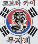 South Korea/SK CK Dojo