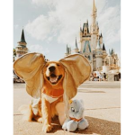 - Daphini’s Disneyland -