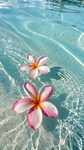 ~ Friendly Flowers ~