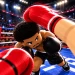 First Person Boxing icon