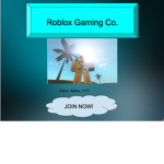Roblox Gaming Co.