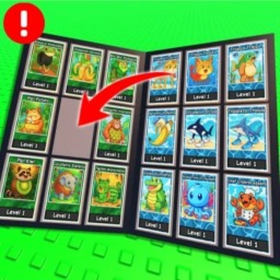 My Card Collection
