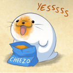 CHONKKE SEAL SQUAD!