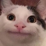 레인보우그룹