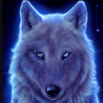 Wolf -_- group
