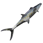 mackerel.png