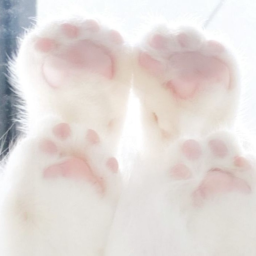 ♡