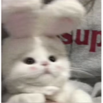 ᴠɪʙᴇ ɢʀᴏᴜᴘ