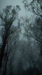'nevesins